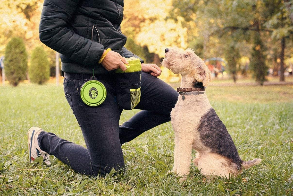 Dog Treat Pouch - Premium Training Treat Bag with Clicker and Collapsible Bowl for Dogs, Adjustable Waist and Shoulder Reflective Straps and Belt Clip, Ideal for Pet Obedience and Agility Training